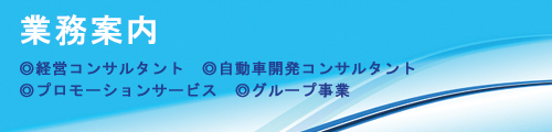 ニュートンズアイ業務案内